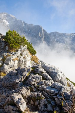 Alpler dağlarda yürüyüş