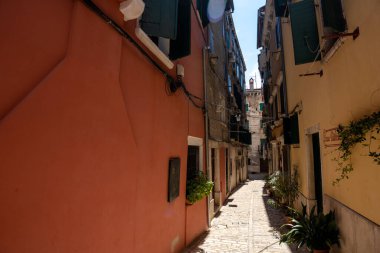 Rovinj, Hırvatistan - 14 Ağustos 2025: Renkli ön cepheli, panjurlu ve saksı bitkileriyle sıcak bir Akdeniz cazibesi yaratan rustik binalar arasında güneşli kaldırım taşı geçidi.