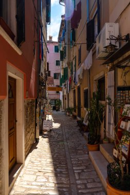 Rovinj, Hırvatistan - 14 Ağustos 2025: Renkli cepheleri, yeşil kepenkleri ve asma çamaşırları olan dar kaldırım taşı sokak, sıcak gün ışığı altında küçük dükkanlar ve saksı bitkileriyle kaplı.