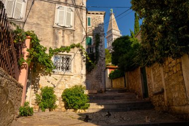 Rovinj, Hırvatistan - 15 Ağustos 2025: Hırvatistan 'ın Rovinj kentinde, sarmaşık kaplı duvarlar, pencereler ve eski kasabanın tepesinde yükselen çan kulesi ile altın güneş ışığıyla yıkanmış sakin bir taş sokak.
