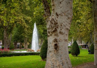 Zagreb, Hırvatistan - 23 Ağustos 2024: Sakin bir günde uzun boylu ağaçlar ve düzgünce budanmış çalılarla çerçevelenen Zrinjevac Park 'ın yeşil çevresindeki fıskiye suyu.