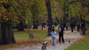 Budapeşte, Macaristan - 9 Kasım 2025: Budapeşte 'deki bir parkta sakin bir sonbahar sahnesi, insanların yükselen, olgun ağaçların arasında, düşen yapraklarla kaplı yollarda yürüdüklerini gösteriyor..
