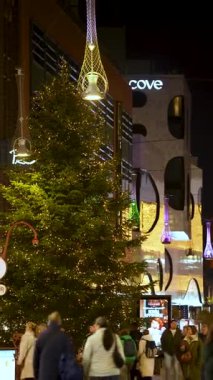 Lahey, Hollanda - 24 Aralık 2025: Lahey 'de, modern binaların önünden geçen insanlarla çevrili, altın ışıklarla süslenmiş büyük bir Noel ağacının yer aldığı şenlikli bir gece sahnesi.