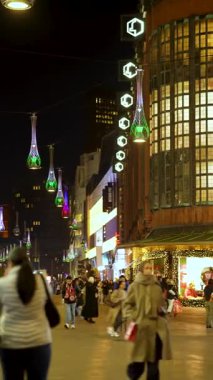 Lahey, Hollanda - 19 Aralık 2025: Lahey 'de canlı bir yaya sokağı manzarası, üzerinde parıldayan dekoratif fenerler, bir Noel ağacı ve alışveriş yapan kalabalığın yer aldığı.