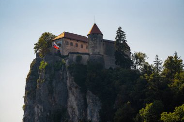 Nefes kesici bir mimari manzara yakalayan bu resim, Slovenya 'da dik bir uçurumun kenarında oturan tarihi Kanlı Kale' yi gösteriyor. Ortaçağ kalesi yemyeşil ağaçlarla çevrili ve surlardan sallanan Slovenya bayrağı