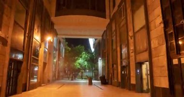 Budapeşte, Macaristan - 30 Ağustos 2024: Akşam Gökyüzüne Karşı Yavaşça Açılan Dönme Dolabın Hızı.