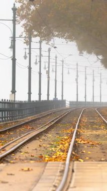Budapeşte, Macaristan - 16 Kasım 2024: Budapeşte 'de sonbahar manzarası altın yeşillikler ve sarı bir tramvay geçiyor. Zaman ayarlı, kaydırmalı geçiş.
