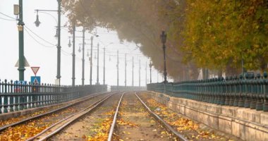 Budapeşte, Macaristan - 16 Kasım 2024: Budapeşte 'de sonbahar manzarası altın yeşillikler ve sarı bir tramvay geçiyor. Zaman Uygulaması.