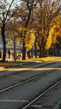 Budapeşte, Macaristan - 9 Kasım 2025: Zaman ayarlı, kaydırmalı geçiş, dikey. Budapeşte Macaristan 'daki Tuna seti boyunca uzanan tramvay raylarının manzarası Macar başkentindeki sonbahar romantik atmosferini yansıtıyor.