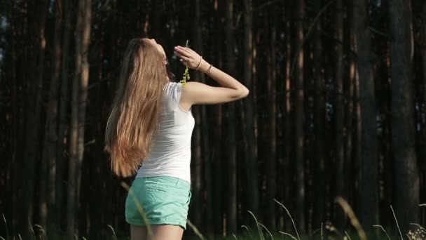 Beautiful young woman on field in summer — Stock Video