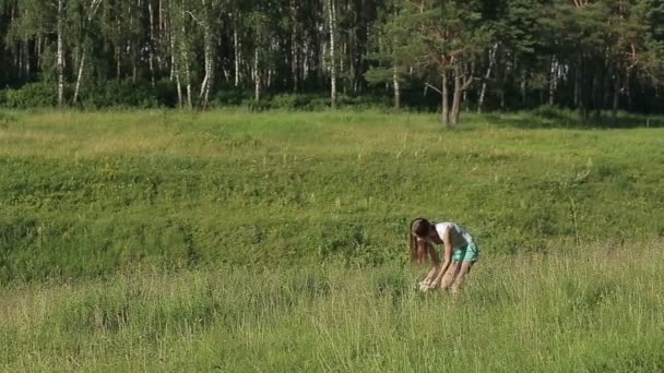 Belle jeune femme cueillant des fleurs blanches sur la prairie en été — Video