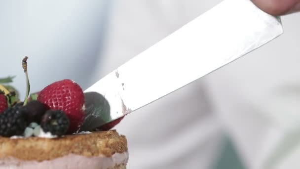 A bride and a groom is cutting their wedding cake — Stock Video