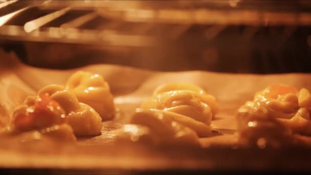 Випічка в духовці. Timelapse кадри приготування кориці рулони — стокове відео