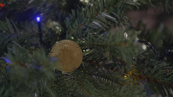 Julklappsmynt Bitcoin. Julklapp på trädet. Garland flimrar med färgade lampor. — Stockvideo