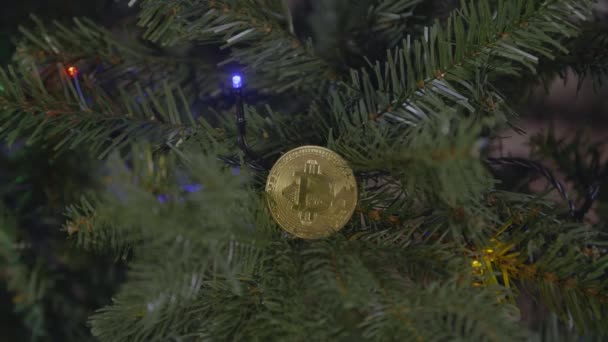 Χρυσό νόμισμα Bitcoin στο χριστουγεννιάτικο δέντρο. — Αρχείο Βίντεο