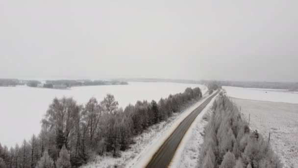 Vue aérienne d'une voiture conduisant dans une journée brumeuse et enneigée. Voiture conduisant sur une route droite avec des arbres enneigés près de blanc. — Video