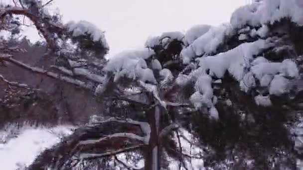 Luftaufnahme des Wintererholungsparks. Menschen radeln von den Schneehängen. — Stockvideo
