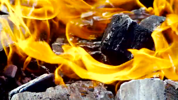 Närbild kol brinner i elden i slow motion 200 FPS. Kol börjar brinna. — Stockvideo