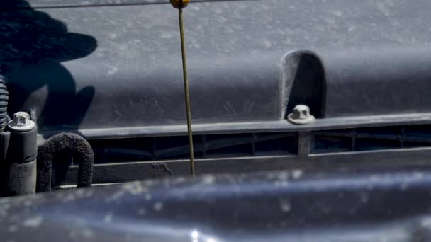 Comprobación del nivel de aceite en un motor de coche. — Vídeos de Stock