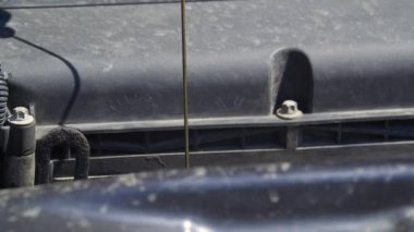 Benzin istasyonunda çalışan bir işçi motor yağı seviyesini kontrol ediyor..