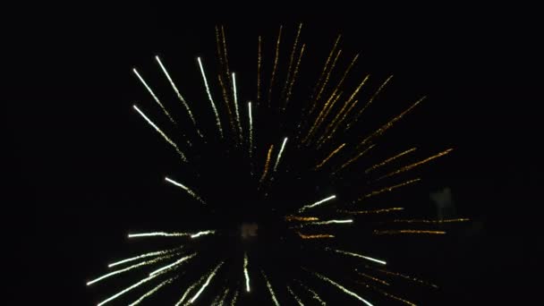 Fogos de artifício coloridos no fundo do céu negro. Fogos de artifício. Fogos de artifício brilhantes. Ano Novo e Natal. Férias. — Vídeo de Stock