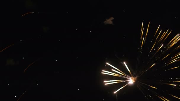 Gros plan de vrais feux d'artifice dans le ciel nocturne. Grands feux d'artifice colorés la nuit. Jour de la victoire. — Video