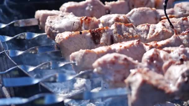 Wieprzowina shish kebaby gotowanie na metalowych szaszłyków na węgiel drzewny grill z dymem ognia — Wideo stockowe