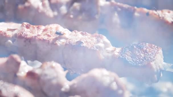 Kød på grillen. Madlavning shish kebab på spyd. – Stock-video