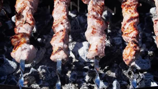 Bbq Fleischspieße Grillen auf Holzkohlegrill. Zubereitung von Schaschlik. — Stockvideo