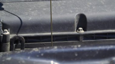 Benzin istasyonunda çalışan bir işçi motor yağı seviyesini kontrol ediyor..