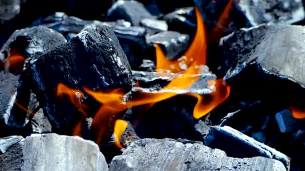 Zwolnione tempo czerwony ogień płomień spalania na węgiel drzewny. — Wideo stockowe