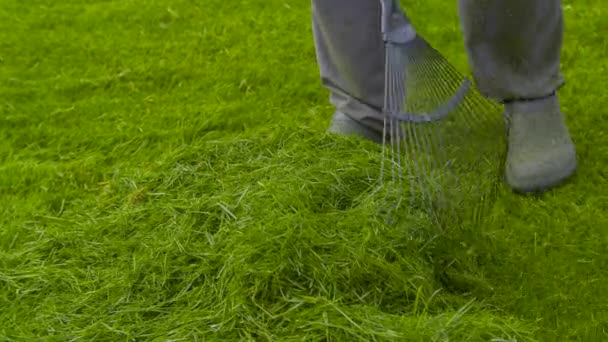 Farmář hrabat trávu s hrábě — Stock video