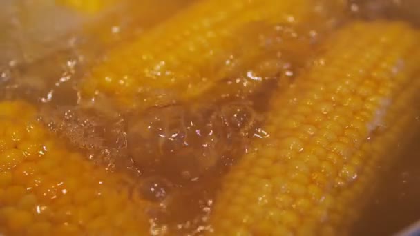 Preparazione di mais bollito. Maturare il mais giallo in acqua bollente. Rallentatore — Video Stock