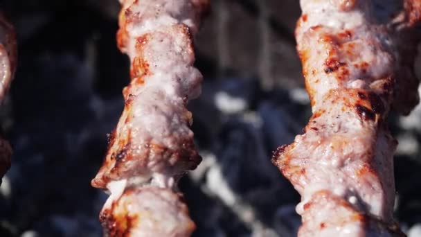 Avslutt-shish kebab-grilling på grill. – stockvideo