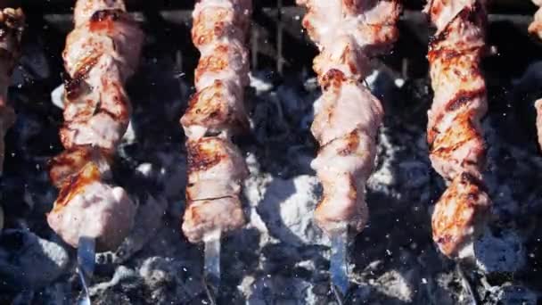 Lækker svinekød kebab grilling på spyd udendørs. – Stock-video