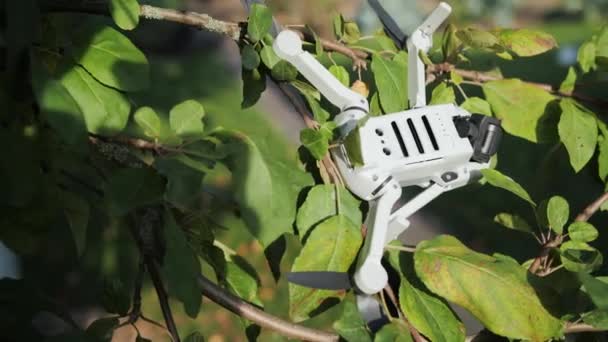 Dron moderno de colisión con un árbol. Drone se estrelló. — Vídeo de stock