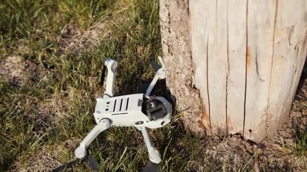 Accidente con un dron. Quadcopter dañado en hierba de otoño — Vídeo de stock