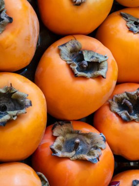 Bir grup canlı portakal hurmasının yakın plan, tepeden tırnağa görüntüsü. Olgun, sulu meyveler yeşil kalsiyumlarıyla güz hasadını, sağlıklı beslenmeyi, vitaminleri ve taze organik ürünleri temsil eden dokulu bir arka plan oluşturur..