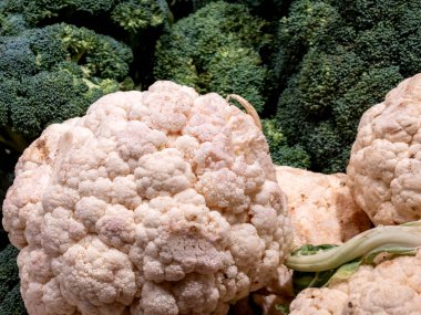 Engebeli, pürüzlü dokusu olan taze, çiğ bir karnabahar kafasının yakın plan çekimi. Arka planda, canlı yeşil brokoliden birkaç kafa güzel bir kontrast oluşturuyor. Bu görüntü sağlıklı beslenme, taze üretim ve çiftçi pazarlarını temsil ediyor..