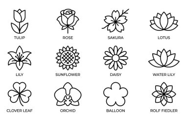 12 basit çiçek ve bitki ikonundan oluşan bir koleksiyon. Bu set lale, gül, sakura, nilüfer, zambak, ayçiçeği, papatya, nilüfer, yonca ve orkide tasarımlarını içerir. Kolay kullanım için izole vektör grafikleri.