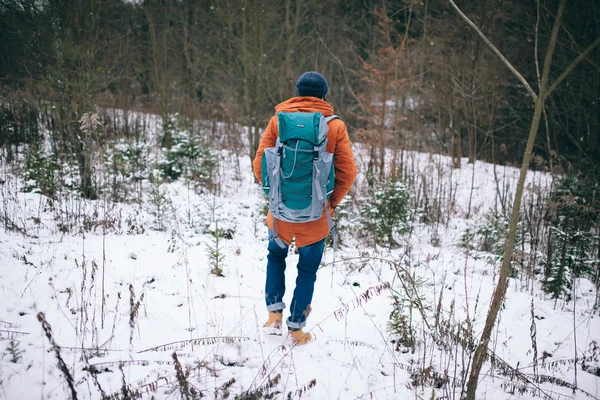 Man walking na pole zima — Zdjęcie stockowe