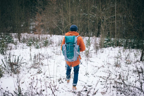 Man walking na pole zima — Zdjęcie stockowe