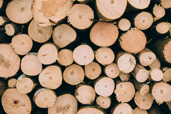 Firewood logs in a pile — Stock Photo, Image