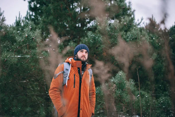 Sakallı bir adamın portresi.