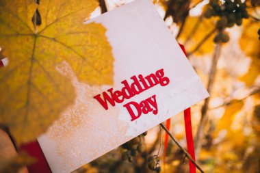 Düğün kitap arzuların kayıt için