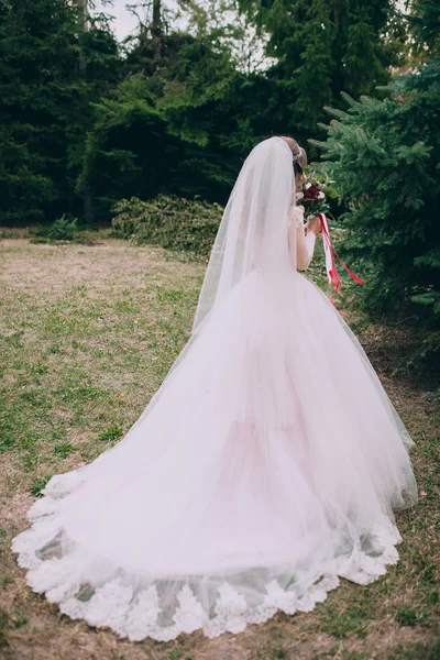 Sposa elegante su una passeggiata — Foto Stock