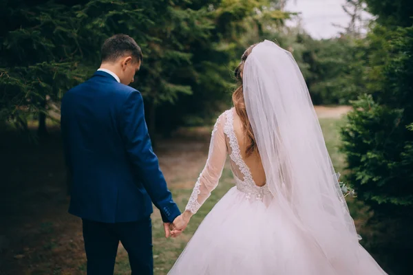 Jonggehuwden op een bruiloft-wandeling — Stockfoto