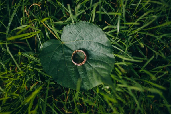 Alyans üzerindeki yaprak — Stok fotoğraf