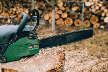 Testere ve ağaç gövdeleri