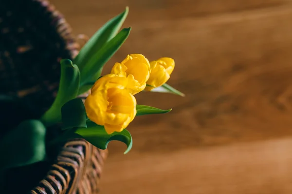 Tulipas amarelas na cesta — Fotografia de Stock